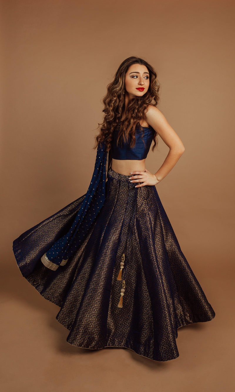 Navy Lehenga with Hand Embroidered Blouse-[comfort-first-design]-[lightweight]-Raas