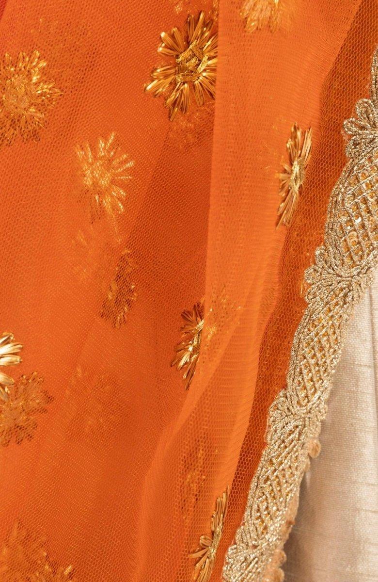 Oli Beige Chaniya Choli Sequins Embroidered Chaniya choli RAAS