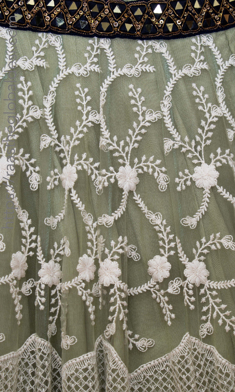 Pista Lehenga Choli with Heavy Embroidery lehenga choli RAAS