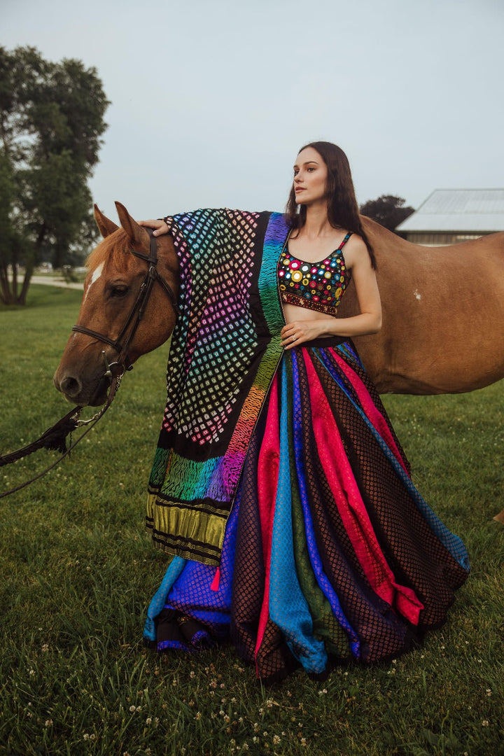 Raas multicolor mirror work chaniya choli set