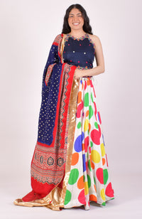 Multicolor Polka Dot Shell Embroidered Chaniya Choli