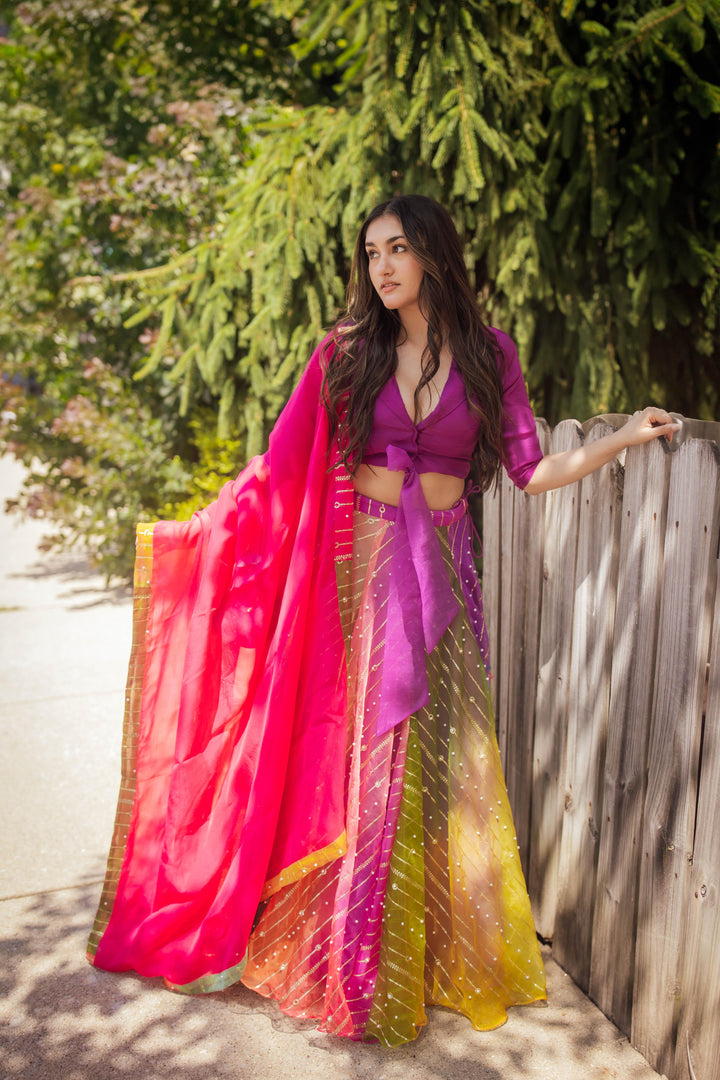 Rainbow Pearl Lehenga Choli Set-[mehendi outfit]-Raas