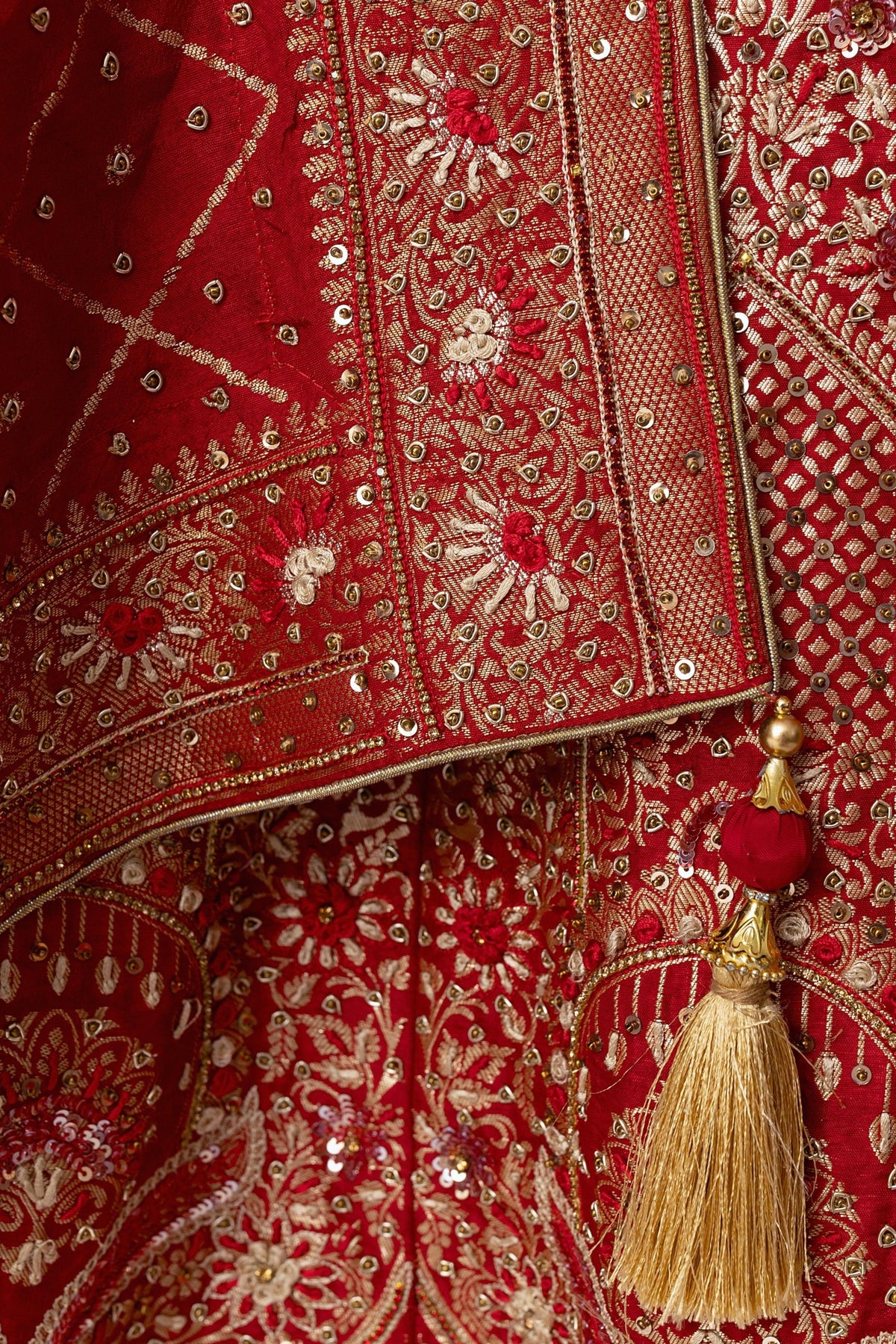 Red Banarasi Silk Lehenga Choli Set with Hand Embroidery-[bridal_lehenga]-Raas