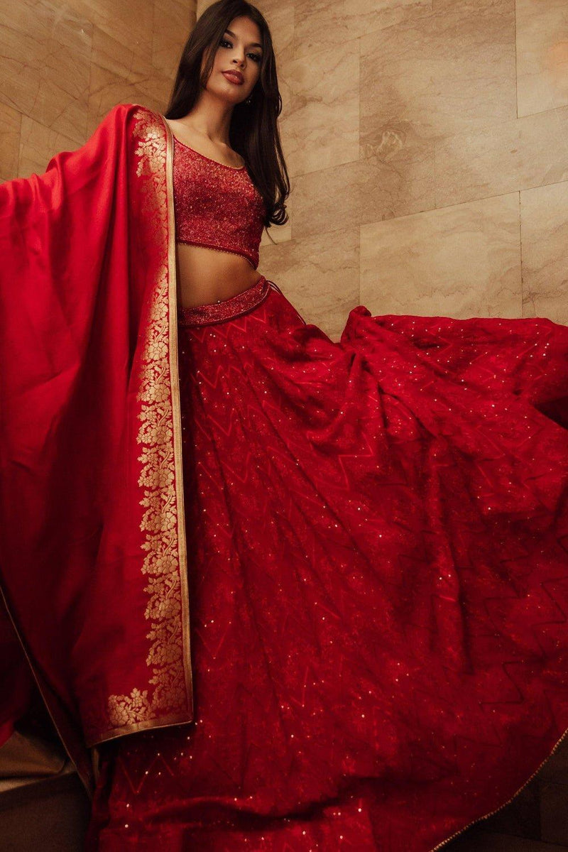 Red Bridal Lehenga Choli with Heavy Embroidery Blouse and Dupatta