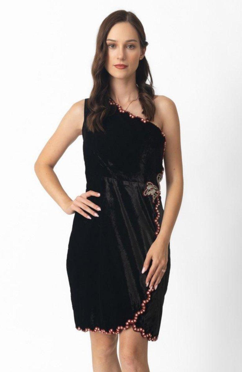 Regina Black Mini Dress Hand Embroidered dresses RAAS