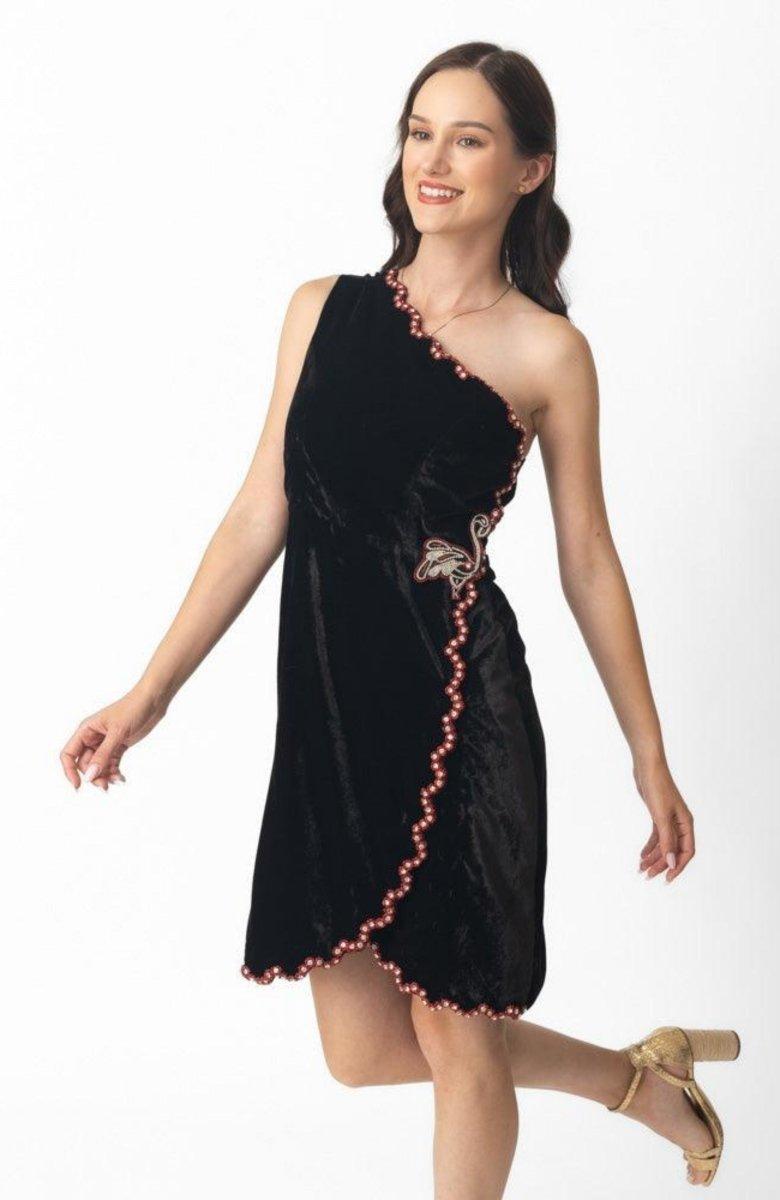 Regina black velvet one-shoulder mini dress with rhinestone border and embroidered butterfly.