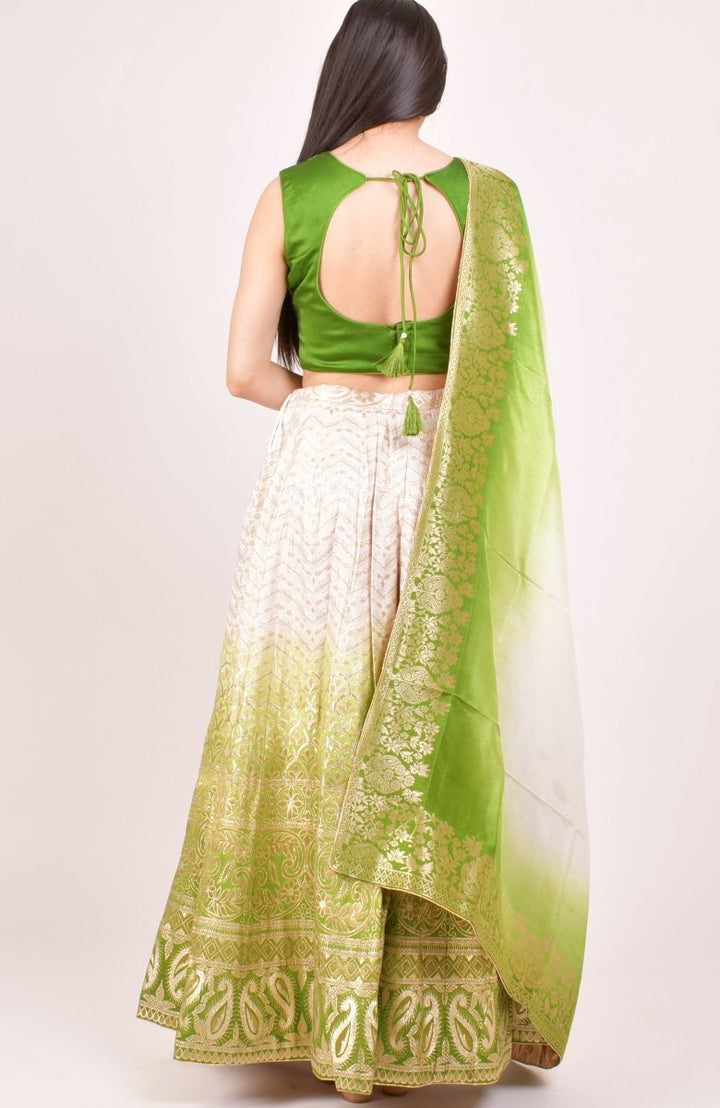 Shaded Green Lehenga Choli for Wedding and Festive Event-[mehendi outfit]-Raas