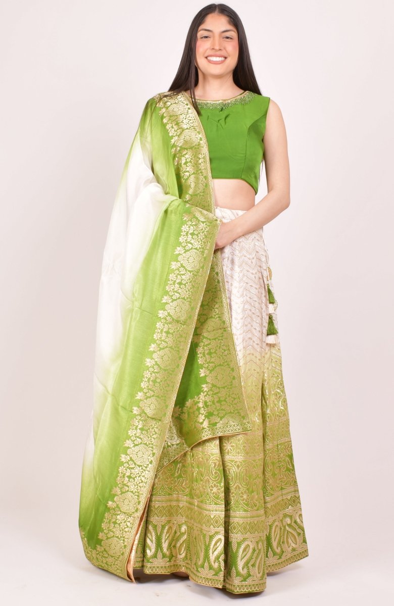 Shaded Green Lehenga Choli for Wedding and Festive Event-[mehendi outfit]-Raas