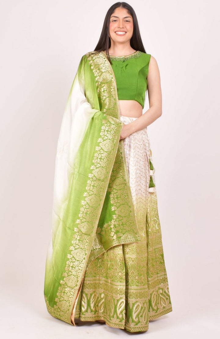 Shaded Green Lehenga Choli for Wedding and Festive Event-[mehendi outfit]-Raas