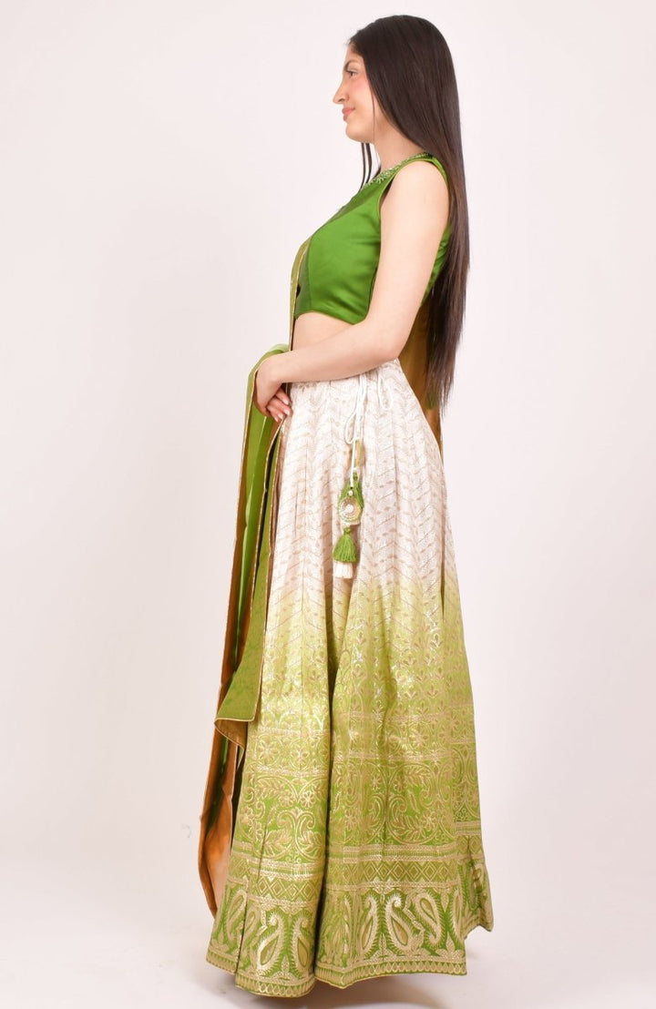 Shaded Green Lehenga Choli for Wedding and Festive Event-[mehendi outfit]-Raas
