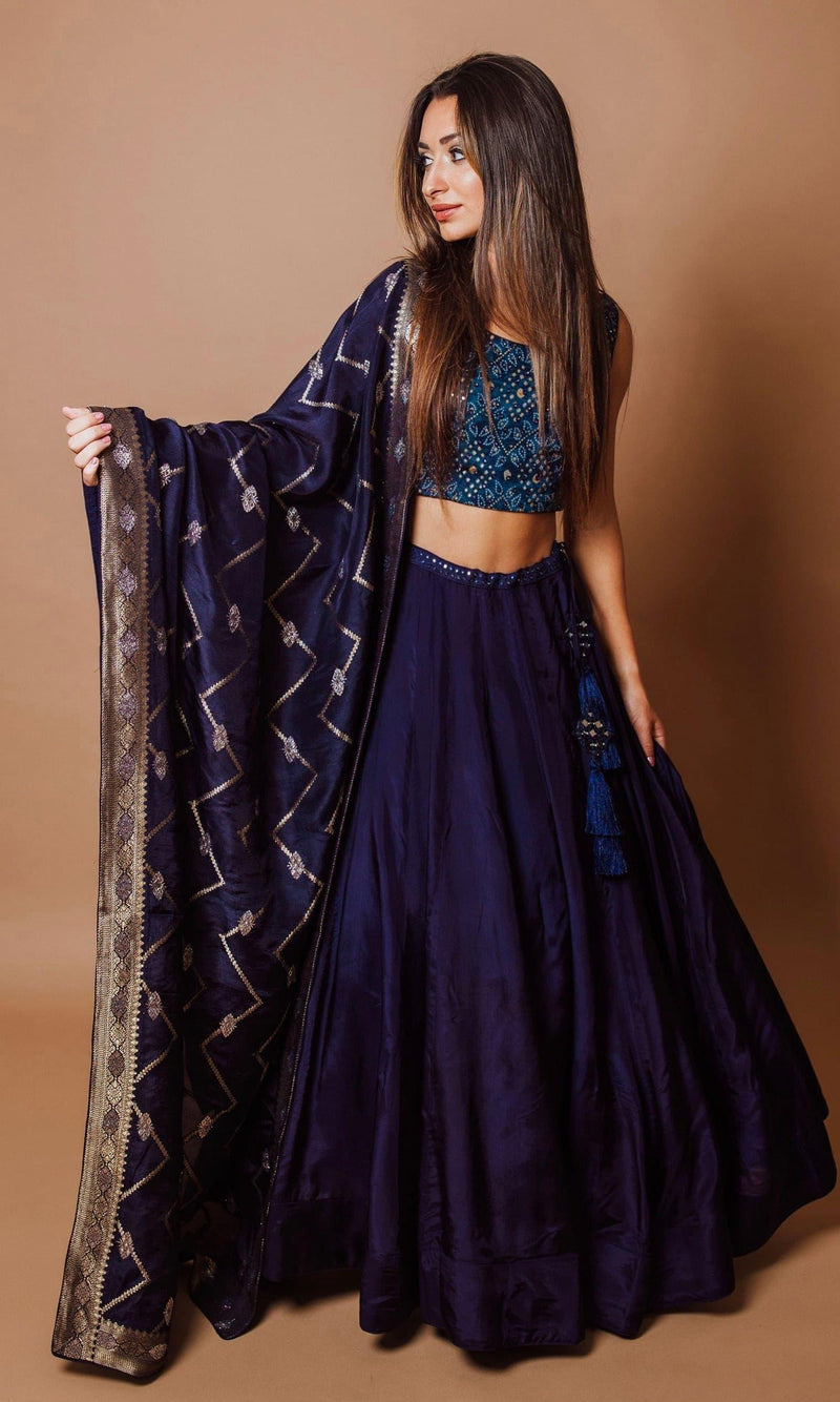 Timeless Blue Lehenga Choli-[comfort-first-design]-[lightweight]-Raas