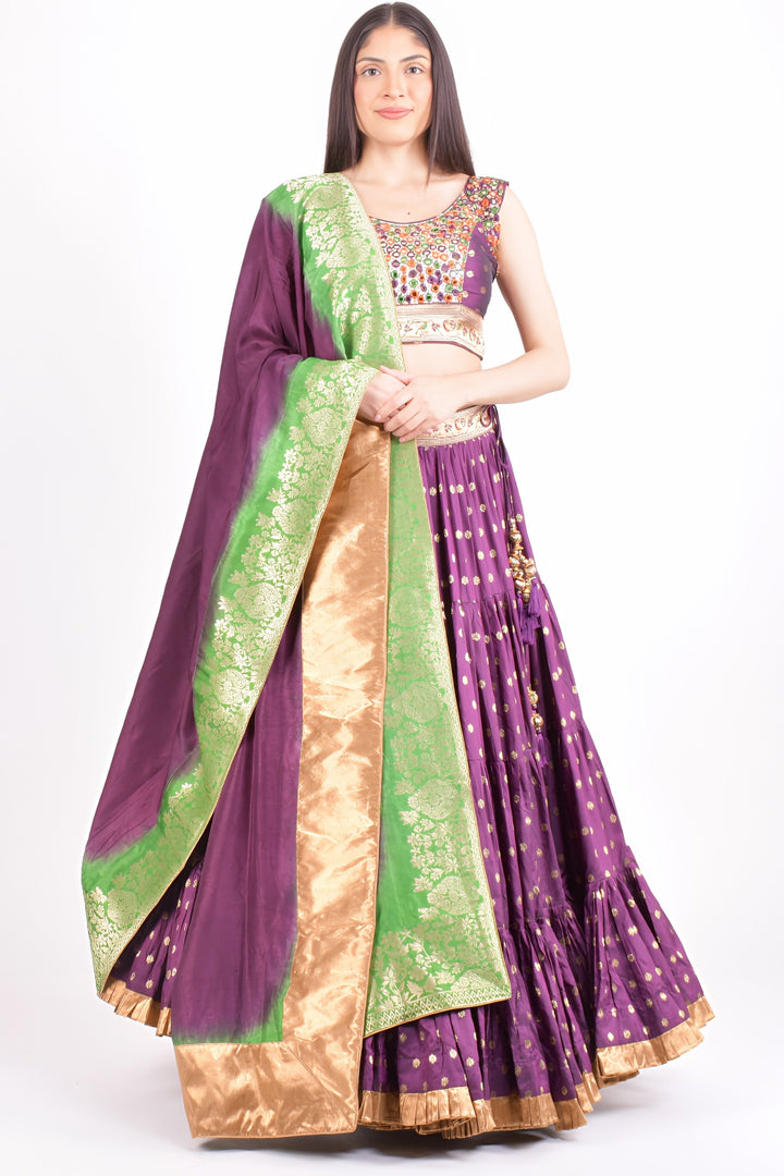 Wine Full Flare Chaniya choli with Hand Embroidered Blouse-[mirror work]-Raas