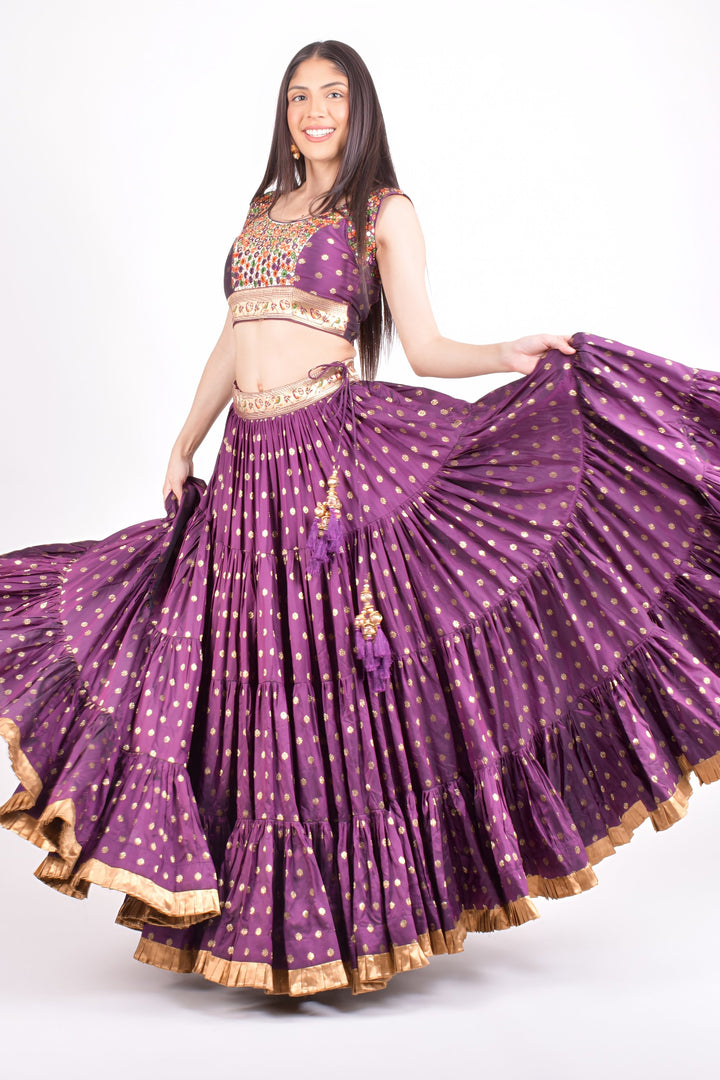 Wine Full Flare Chaniya choli with Hand Embroidered Blouse-[mirror work]-Raas