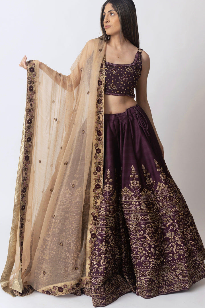 Wine Lehenga Choli with Hand Embroidery-[mehendi outfit]-Raas