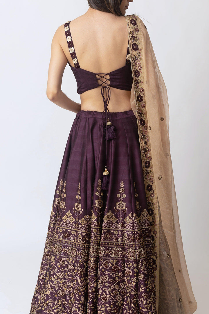 Wine Lehenga Choli with Hand Embroidery-[mehendi outfit]-Raas