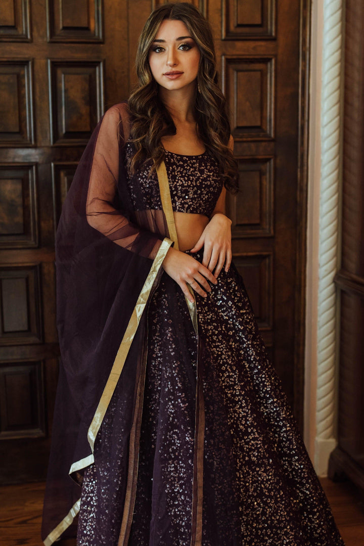 Wine Sequins Lehenga Choli Set-[bridal_lehenga]-Raas