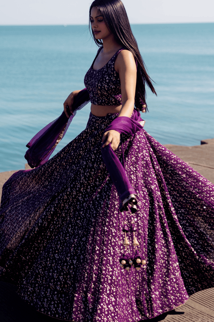 Wine Sequins Lehenga Choli Set-[bridal_lehenga]-Raas