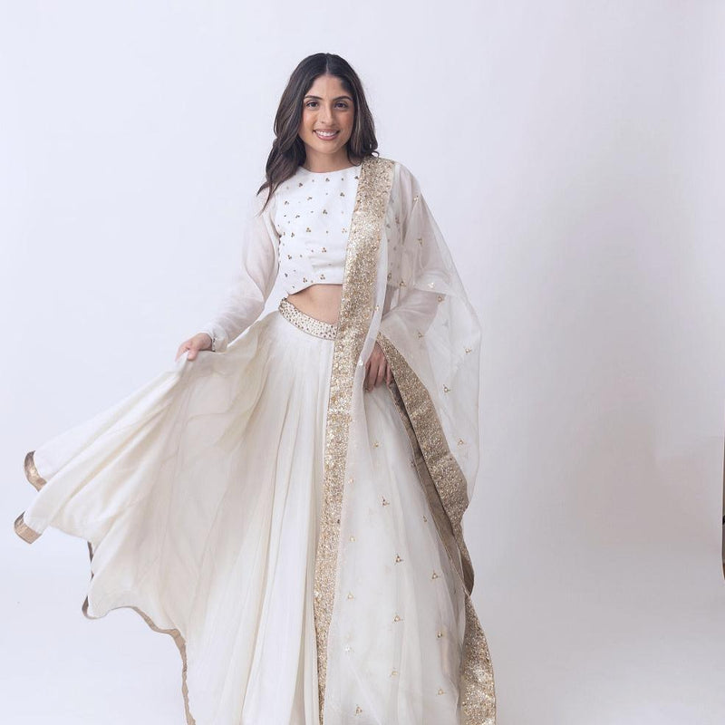 Zuriah Shimmer Lehenga with Sequins Work Blouse-[mehendi outfit]-Raas