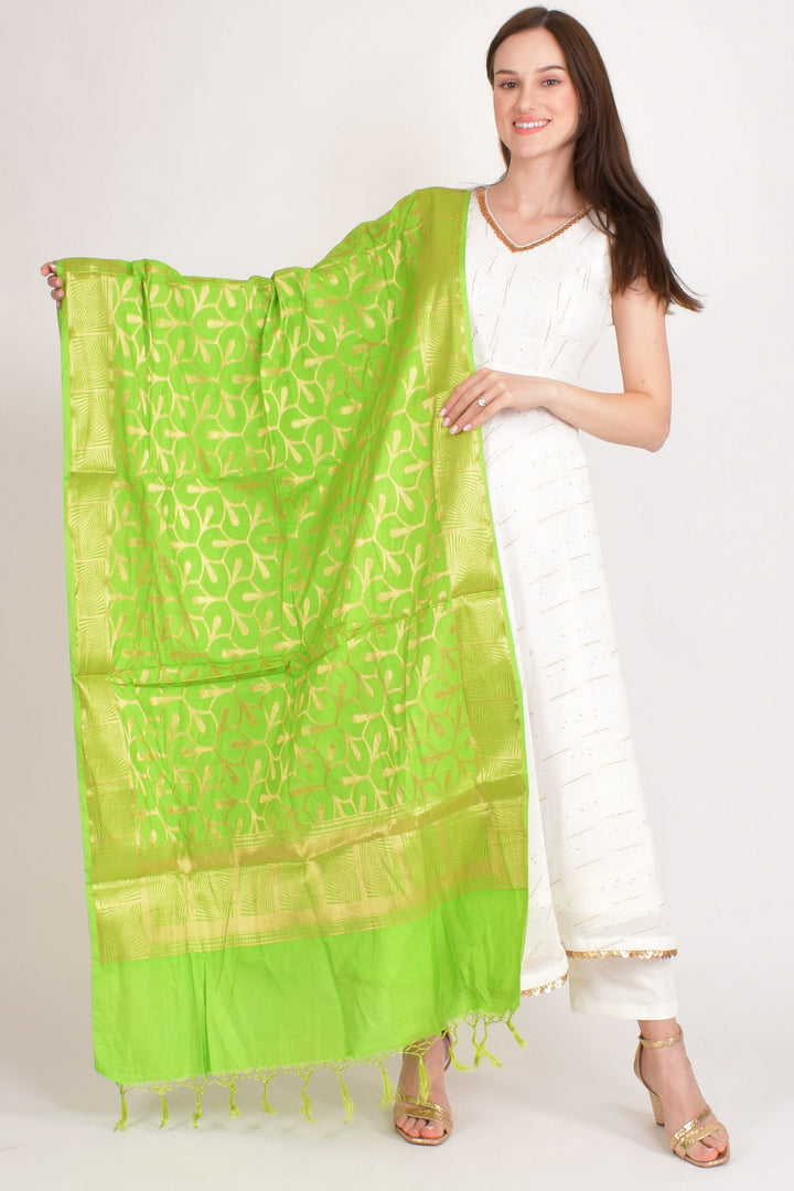 Aarohi Green Organza Dupatta - Raas