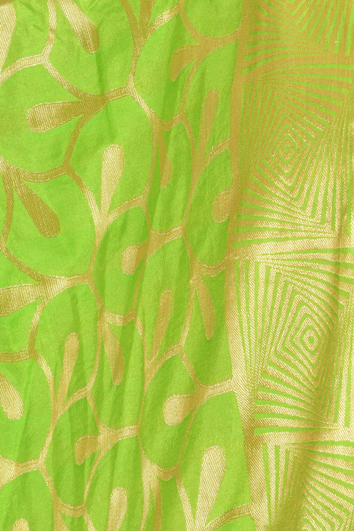 Aarohi Green Organza Dupatta - Raas