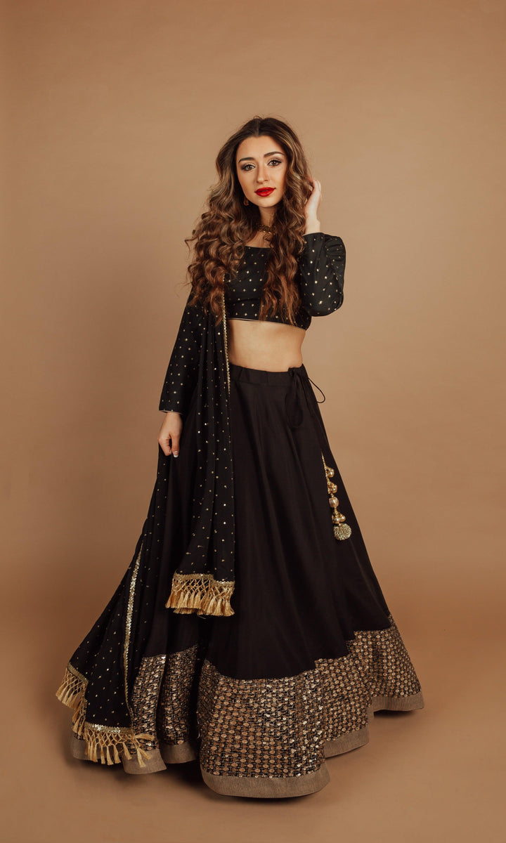 CC3102 Black Lehenga Choli With sequins Embroidery border Online-[black_lehenga_choli]-[black_chaniya_choli]-[black_lehengas]