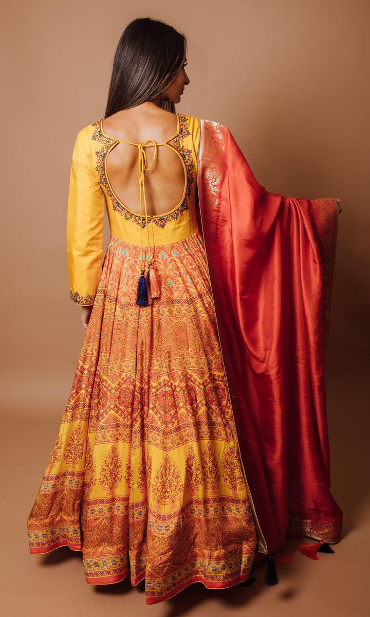 ANARKALI & GOWN-[indian_clothes]-[indian_clothing]-[indian_dresses]
