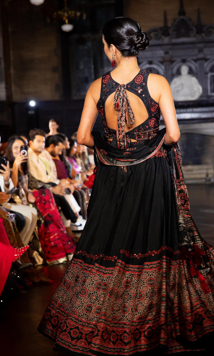Aviva Black Lehenga with Hand Embroidered Blouse - Raas