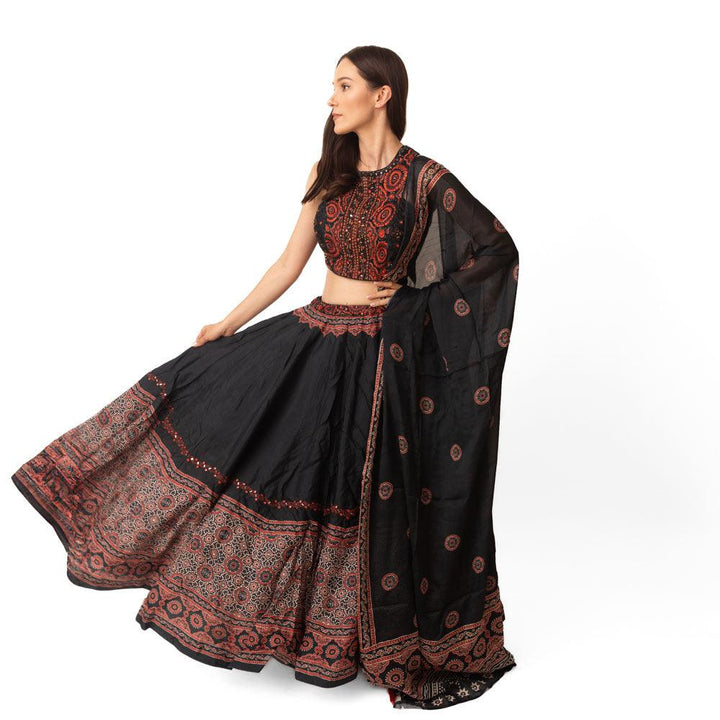 Aviva Black Lehenga with Hand Embroidered Blouse - Raas