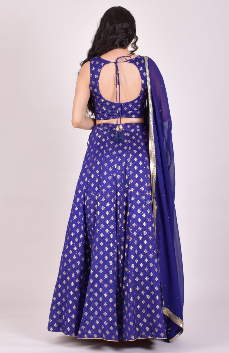Blue Chaniya Choli - Raas