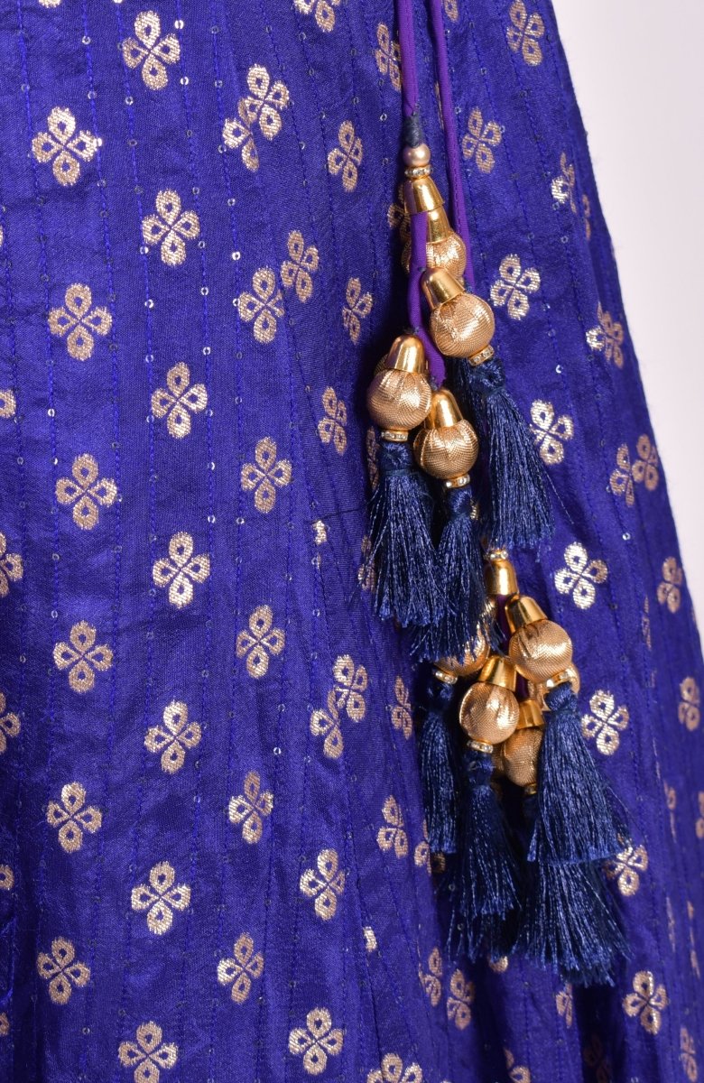 Blue Chaniya Choli - Raas