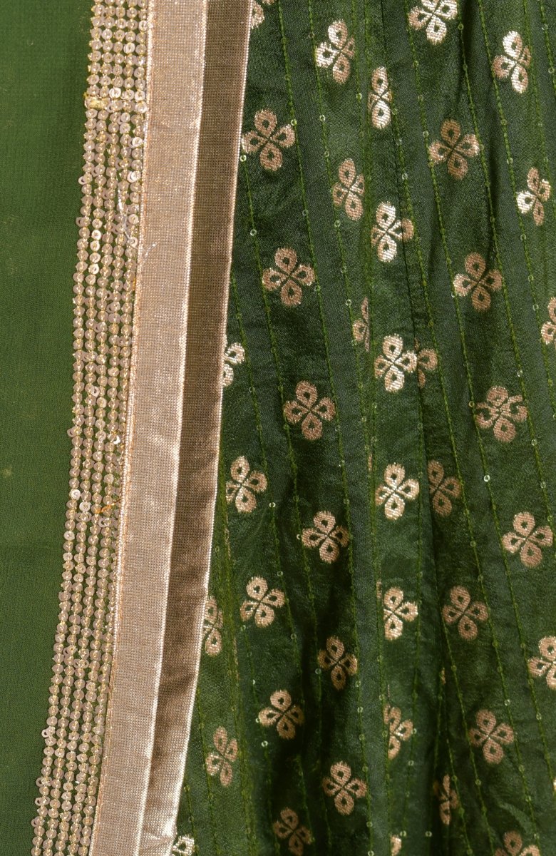 Green Chaniya Choli - Raas