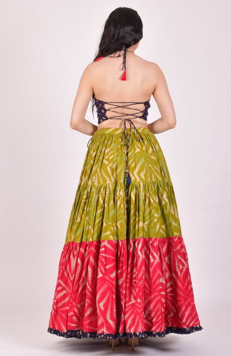 Multicolor Garba Chaniya Choli - Raas