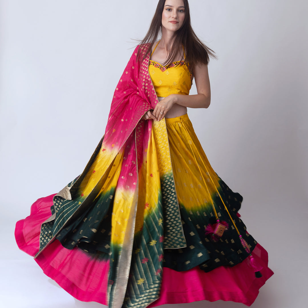 Sunflower multi color lehenga choli set