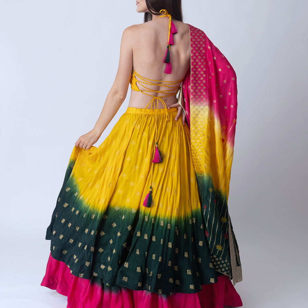 Sunflower multi color lehenga choli set