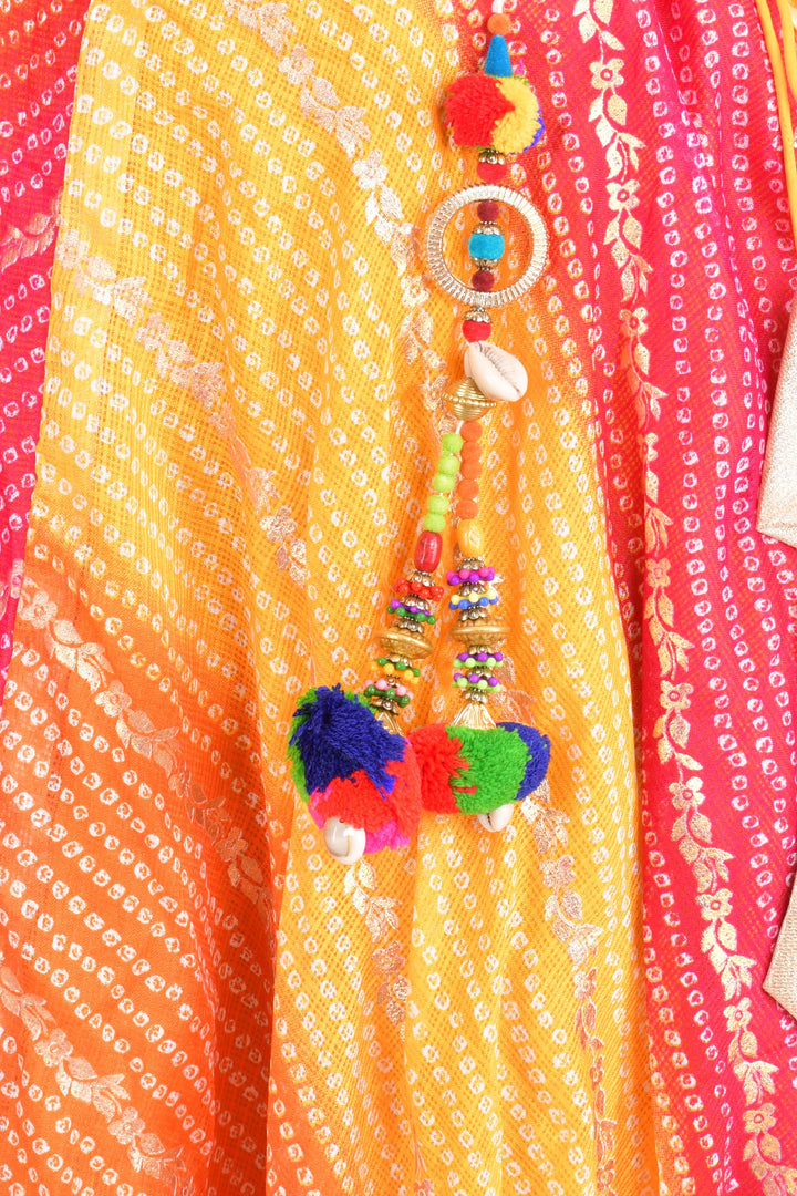 Multi color silk chaniya choli set