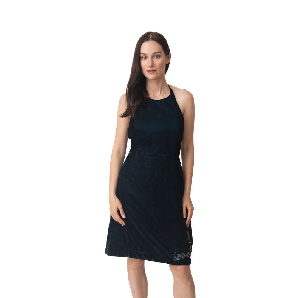 Binni Velvet Mini Dress - Raas
