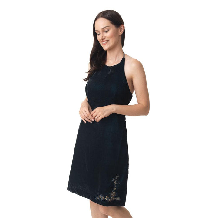 Binni Velvet Mini Dress - Raas