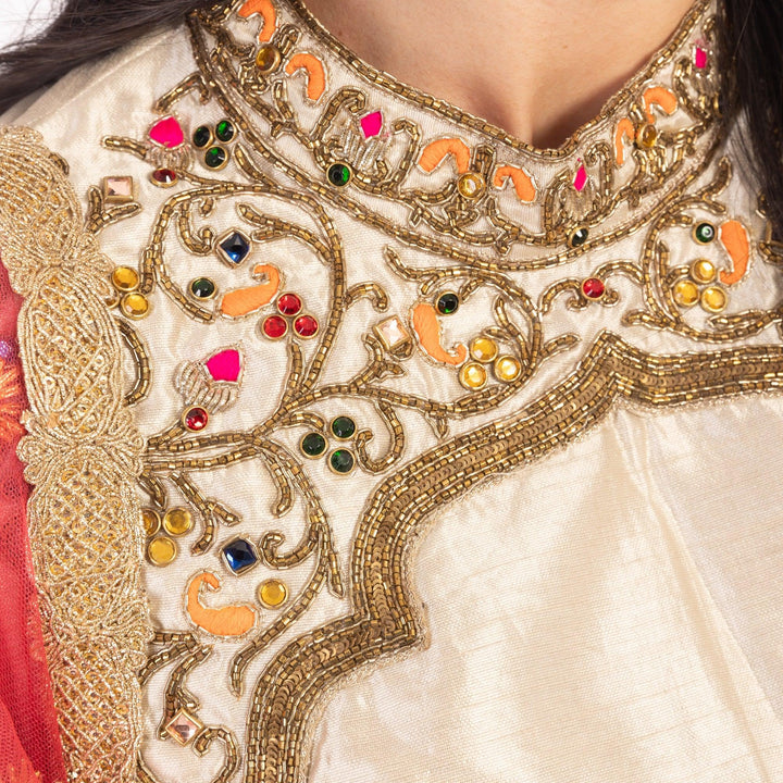 Light Brown Chaniya Choli with Sequins Embroidery - Raas