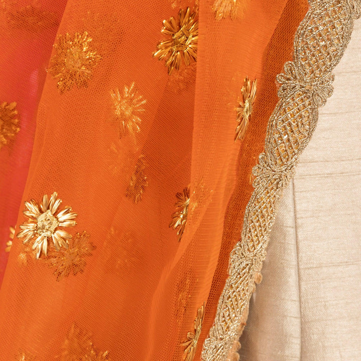 Light Brown Chaniya Choli with Sequins Embroidery - Raas