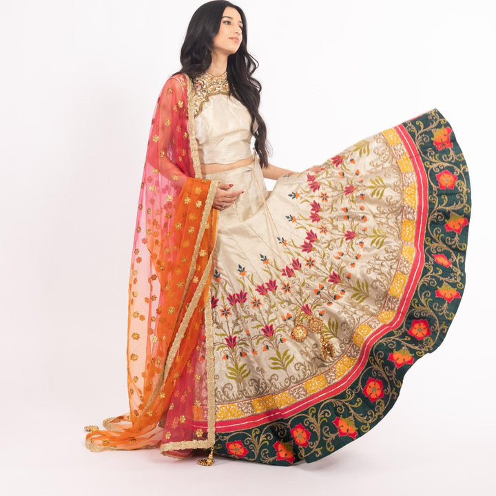 Light Brown Chaniya Choli with Sequins Embroidery - Raas