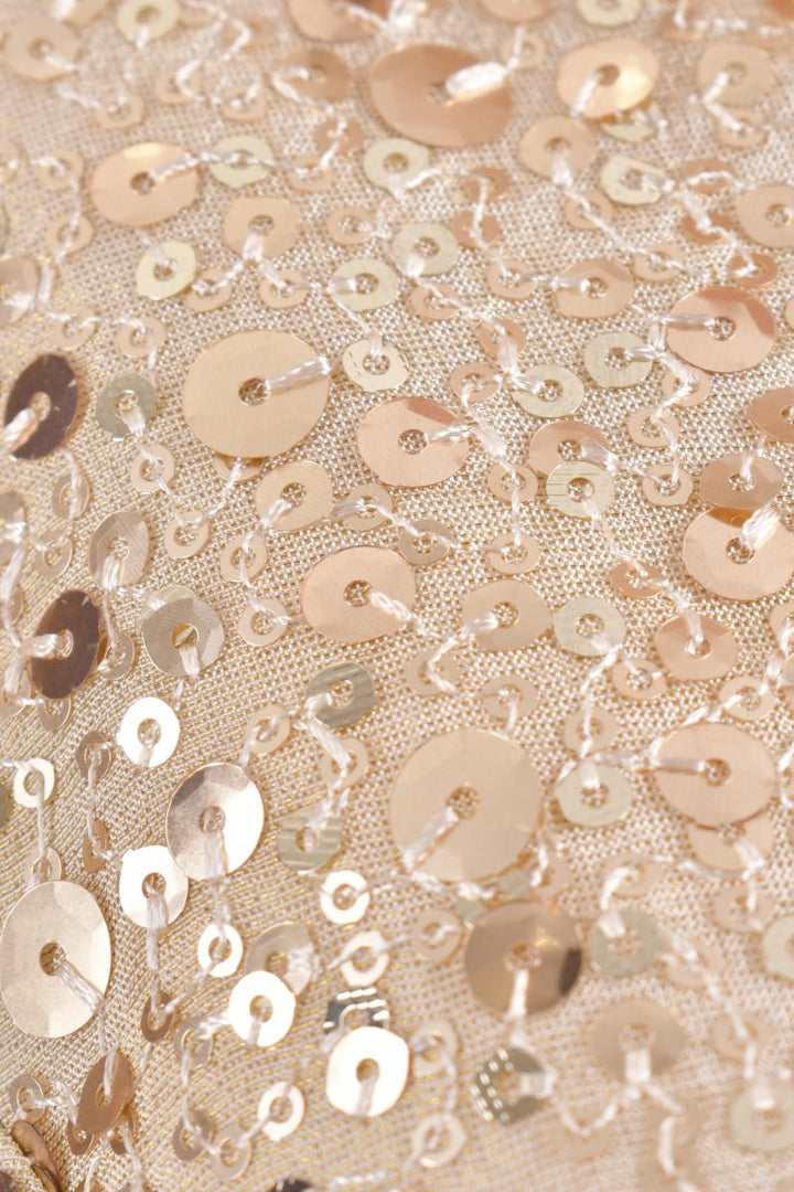 Navy Floral Sequin Ruffle Saree SAREE RAAS