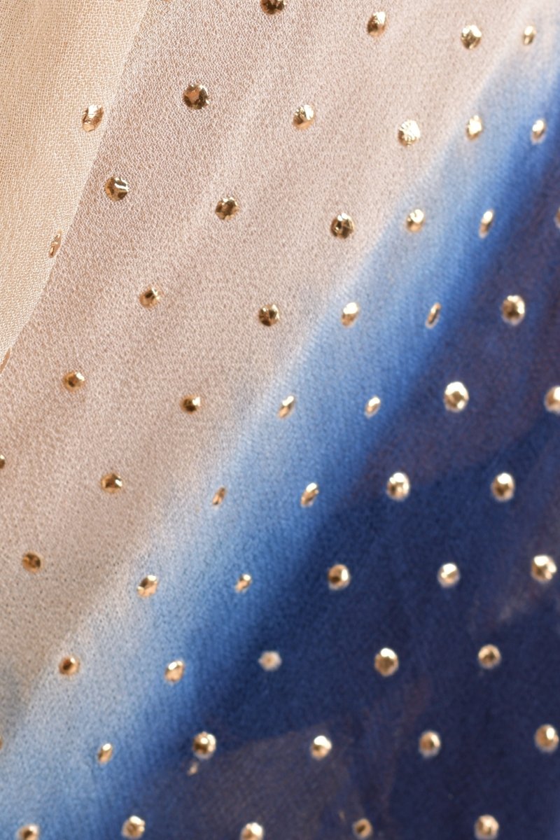 Navy Floral Sequin Ruffle Saree SAREE RAAS