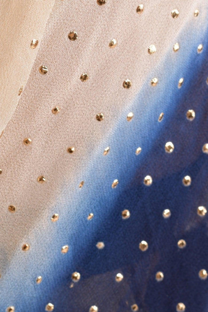 Navy Floral Sequin Ruffle Saree SAREE RAAS