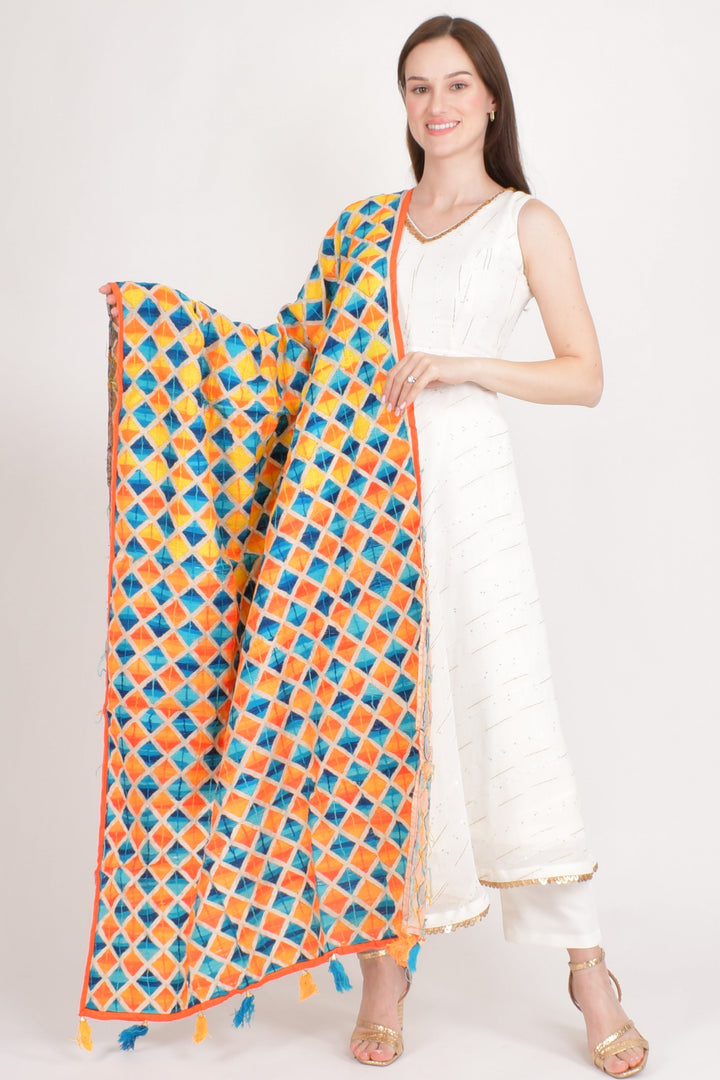 Pari All-Over Embroidered Dupatta - Raas