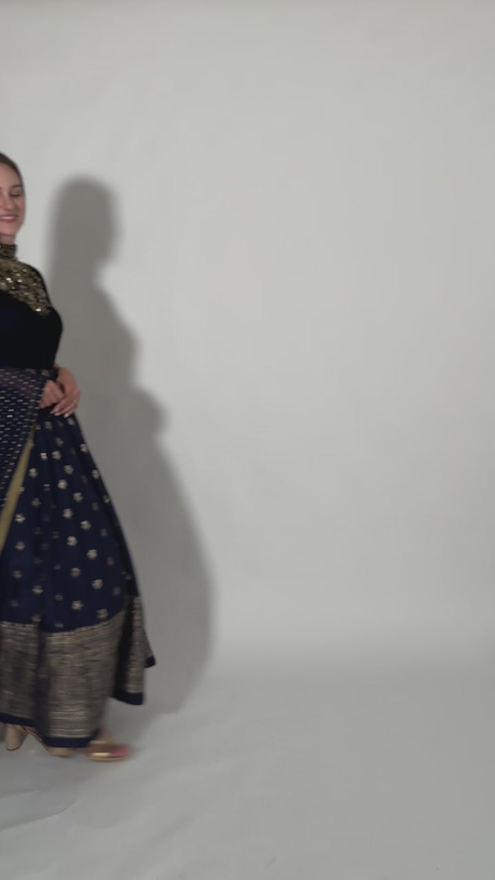 Alice Blue Gown with Velvet Hand Embroidered Torso and Banarasi Jacquard Bottom