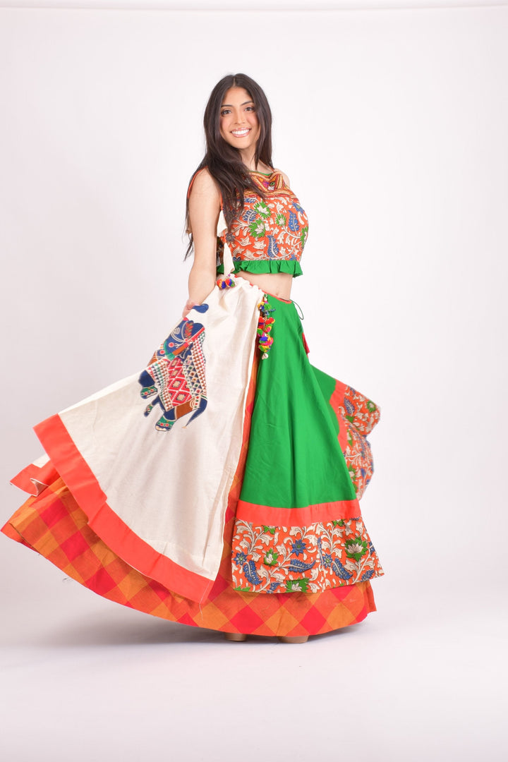 Raas - CHANIYA CHOLI USA - Multi color cotton chaniya choli set