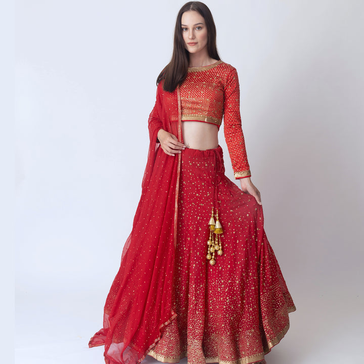 Siddhi Red Sequins Lehengha Choli Set