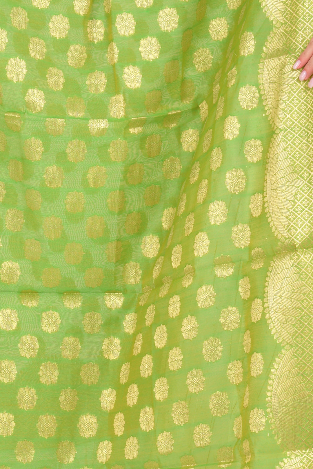 Saanvi Jacquard Green Dupatta - Raas