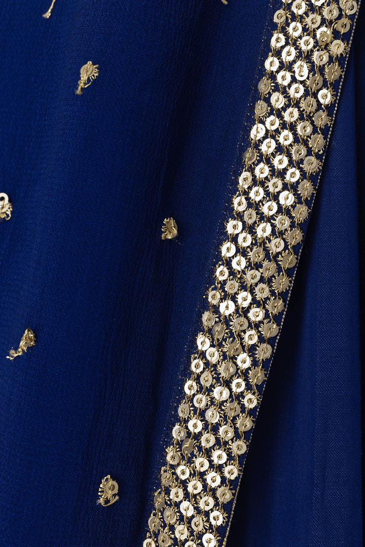 Tori Timeless Royal Blue Lehenga Choli with Gold Trim - Raas