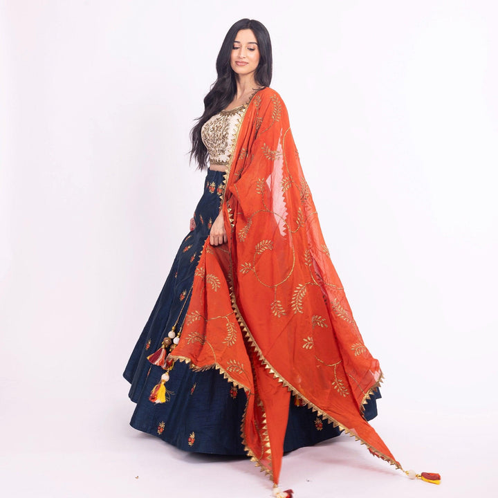 Vespera Blue Lehenga Choli with Embroidered Blouse - Raas